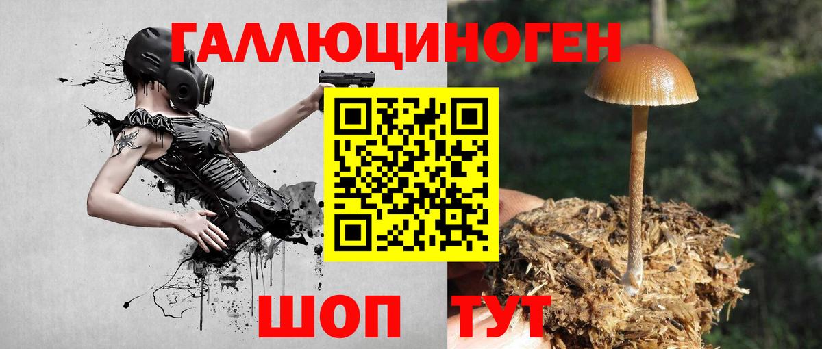 Псилоцибиновые грибы ЛСД Ейск