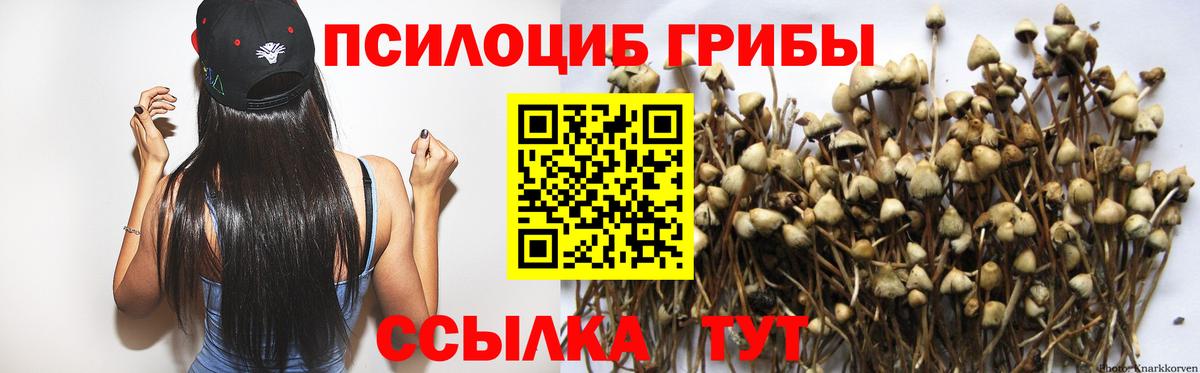 Псилоцибиновые грибы GOLDEN TEACHER  Вход с VPN  Ейск 